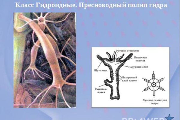 Как выглядит закладка наркотиков